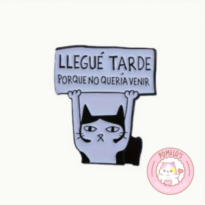 Pin Llegué Tarde