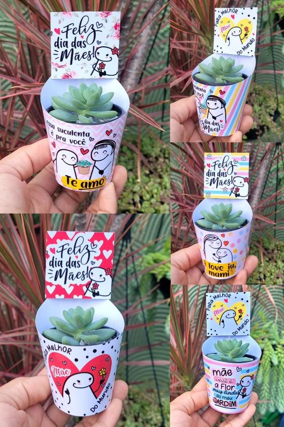 Suculentas con envoltura de papel personalizado