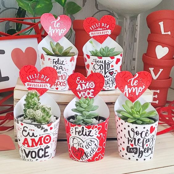 Suculentas con envoltura de papel personalizado