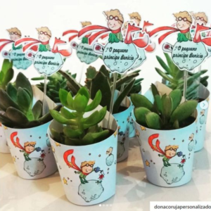 Suculentas con envoltura de papel personalizado
