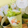 Suculentas con envoltura de papel personalizado