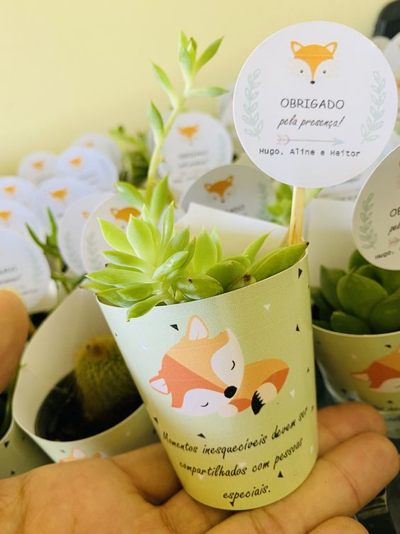 Suculentas con envoltura de papel personalizado