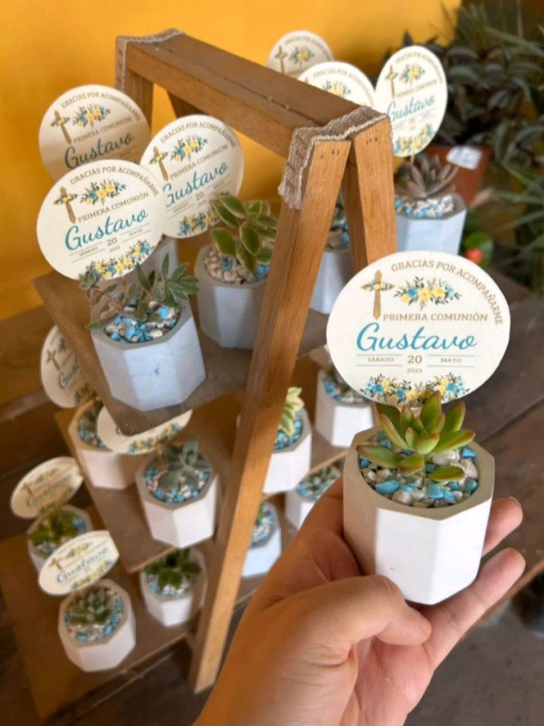 Mini suculentas en materita de cerámica