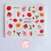 Stickers para Uñas BN-930