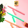Plumones Punta Pincel Pastel x12 Pelikan