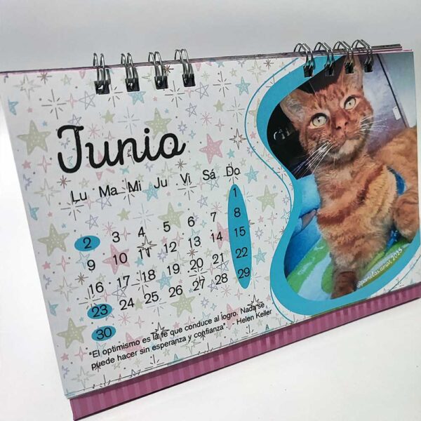 Planeador de Mesa Personalizado 2026