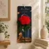 La Rosa — Pomelo’s Floral