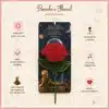La Rosa — Pomelo’s Floral